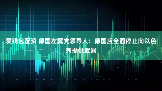 爱钱包配资 德国左翼党领导人：德国应全面停止向以色列提供武器