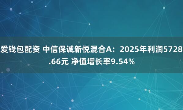爱钱包配资 中信保诚新悦混合A：2025年利润5728.66元 净值增长率9.54%